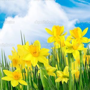 Meet your Posher, Lorie